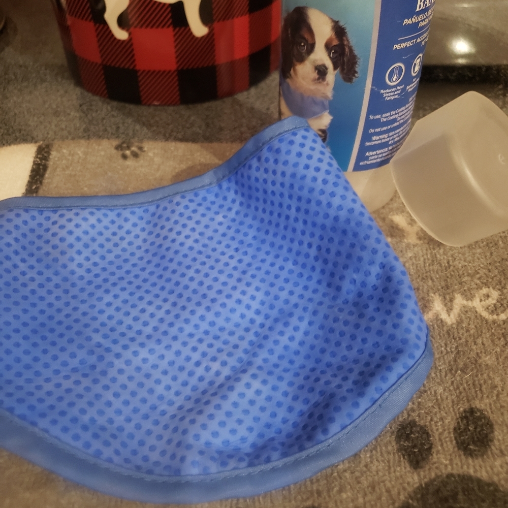 Pet Cooling Bandana